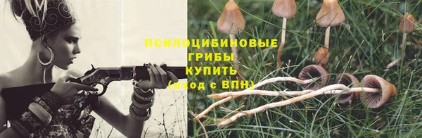 марки lsd Медногорск